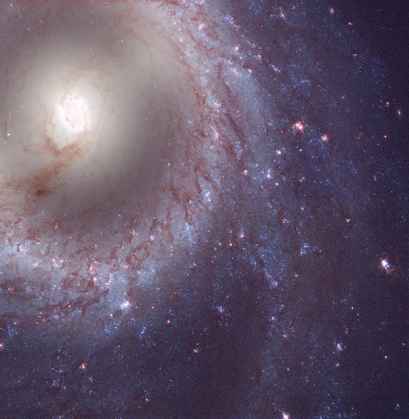 M95